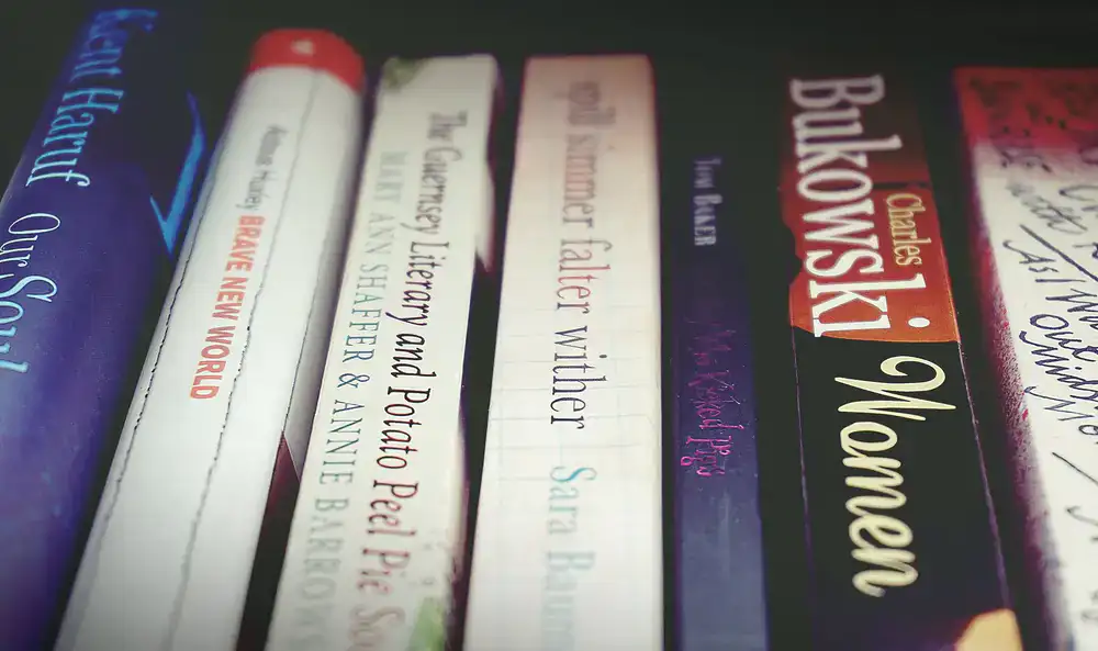 Cover of a recommended fiction book